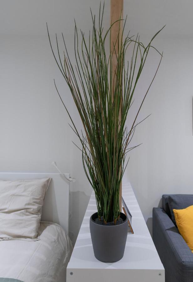 Apartment ※perrier Menthe※ Hyper-centre Et Tranquillite *
